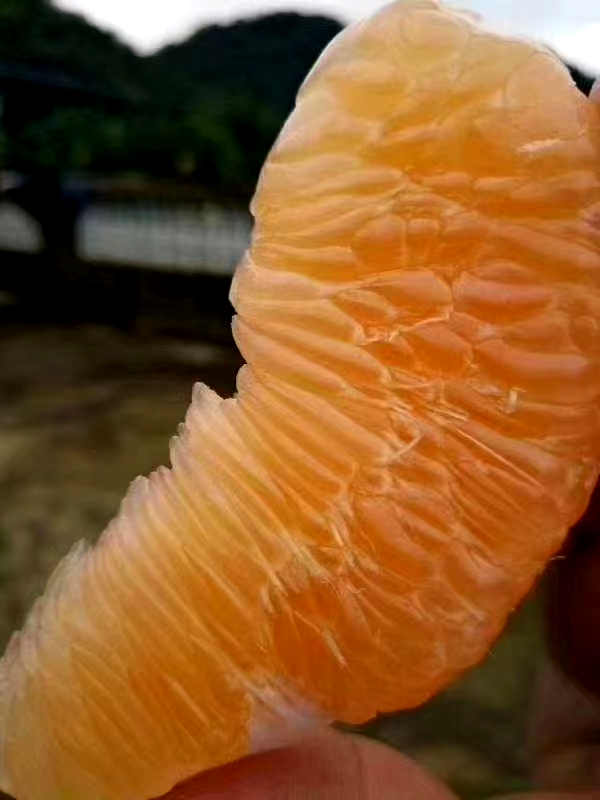 图片 3.png 图片 3.png